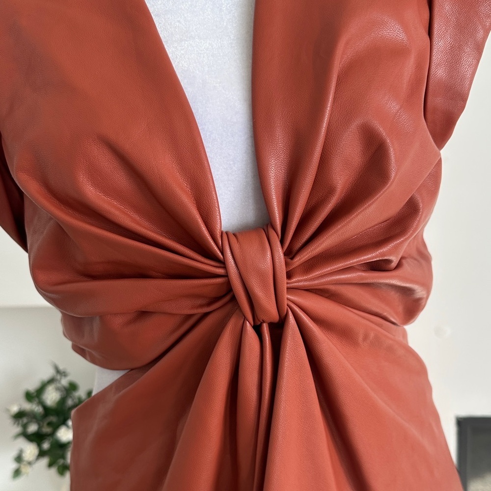 A.L.C. Rust Mini Dress - Picture 8 of 12